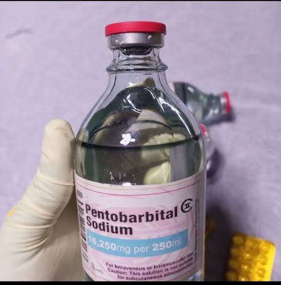 💉 پنتوباربیتال سدیم ۱۶.۲۵ گرم/۲۵۰ میلی‌لیتر 💉